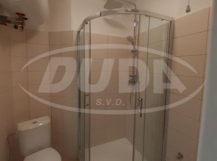 Pronájem bytu, 1+kk, 24 m²