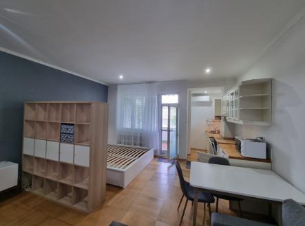 Pronájem bytu, 1+kk, 47 m²