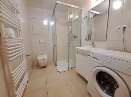 Pronájem bytu, 1+kk, 24 m²