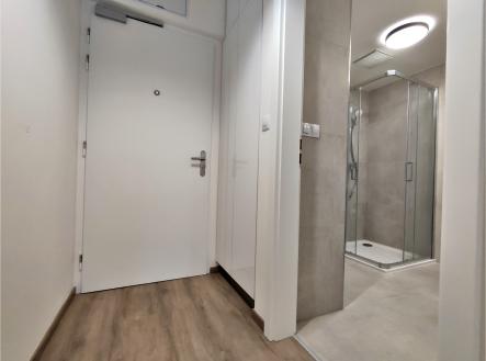 Pronájem bytu, 1+kk, 27 m²