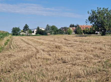 Prodej pozemku pro bydlení, 3 728 m²