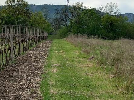 Prodej pozemku pro bydlení, 1 941 m²