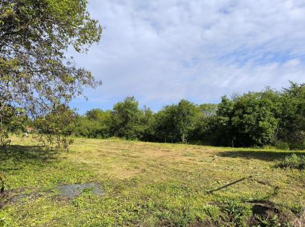 Prodej pozemku pro bydlení, 1 845 m²