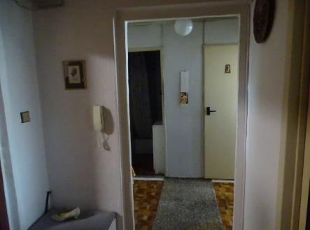 Prodej bytu, 1+1, 44 m²