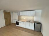 Pronájem bytu, 1+kk, 47 m²