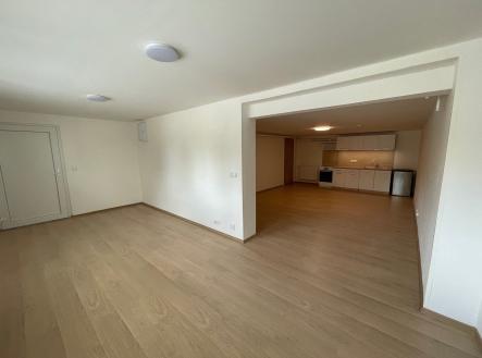 Pronájem bytu, 1+kk, 47 m²