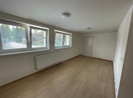 Pronájem bytu, 1+kk, 47 m²
