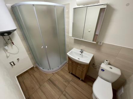 Pronájem bytu, 1+kk, 47 m²