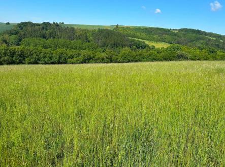 Prodej pozemku, trvalý travní porost, 8 138 m²