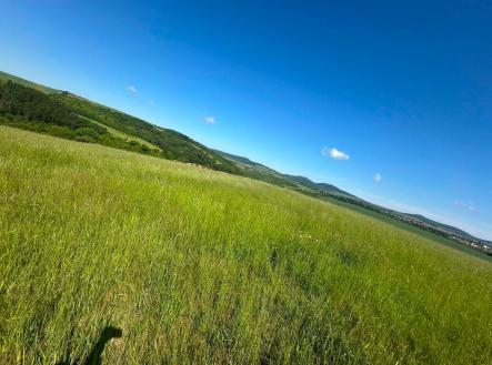 Prodej pozemku, trvalý travní porost, 8 138 m²