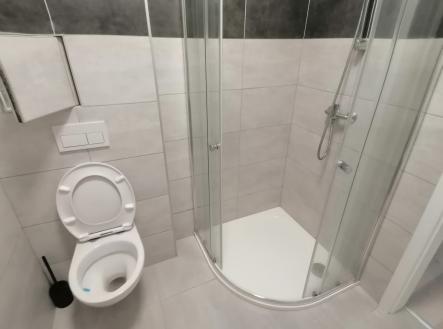 Pronájem bytu, 1+kk, 27 m²