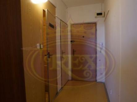 Prodej bytu, 1+kk, 33 m²