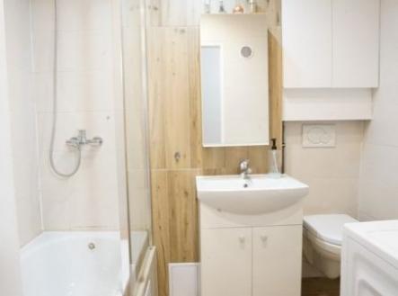 Pronájem bytu, 2+1, 54 m²