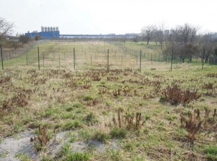 Pronájem pozemku, zahrada, 384 m²