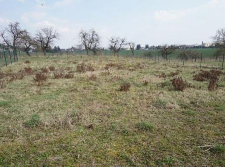 Pronájem pozemku, zahrada, 384 m²