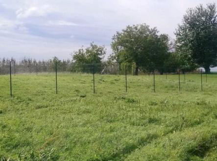 Pronájem pozemku, zahrada, 384 m²