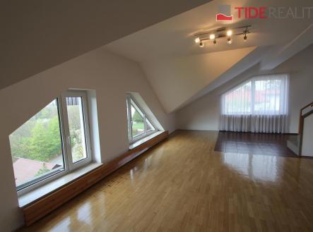 Pronájem bytu, 6+1, 290 m²