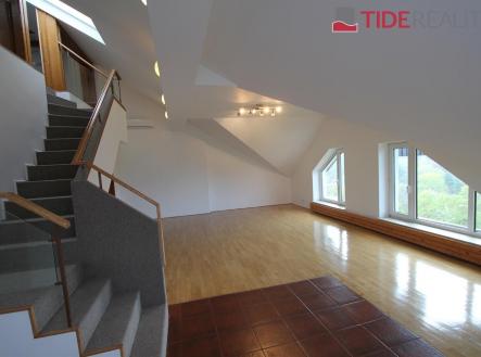 Pronájem bytu, 6+1, 290 m²