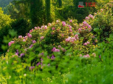 Prodej domu/vily, 870 m²