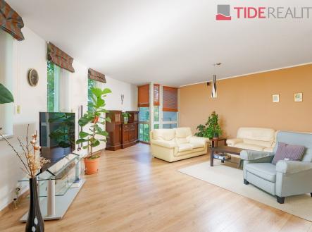 Pronájem bytu, 5+kk, 160 m²