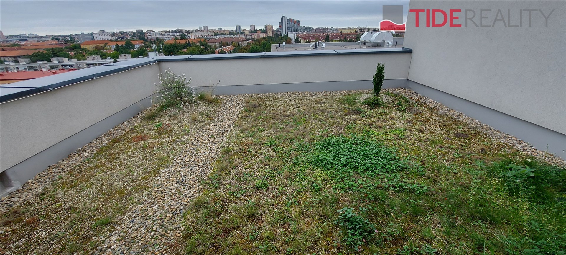 Fotku se nepodařilo načíst.