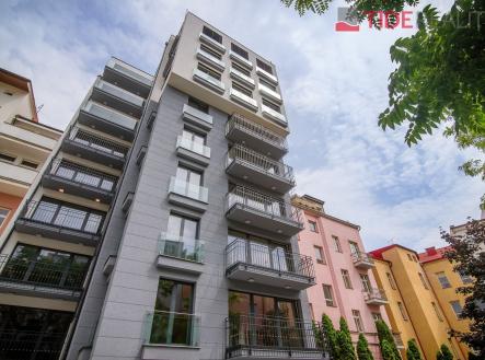 Pronájem bytu, 5+kk, 250 m²