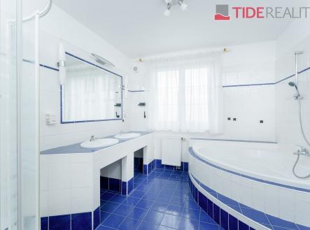 Pronájem domu/vily, 290 m²