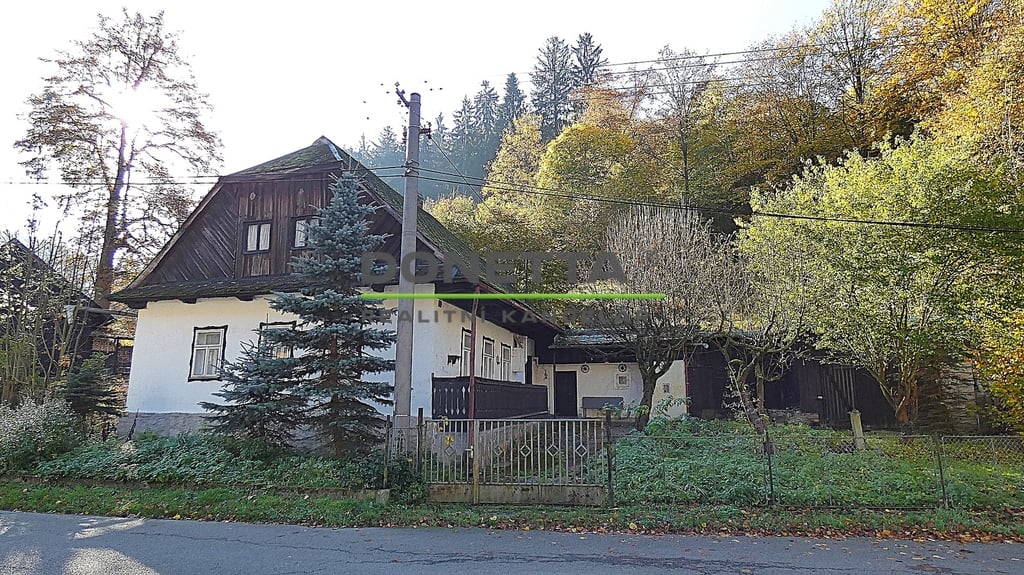 p1040421.jpg