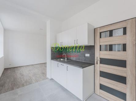 Pronájem bytu, 1+kk, 31 m²