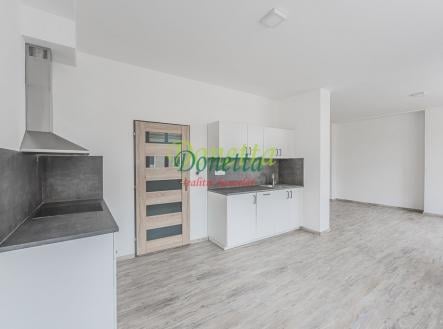 Pronájem bytu, 1+kk, 48 m²