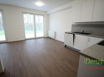 Pronájem bytu, 3+kk, 69 m²