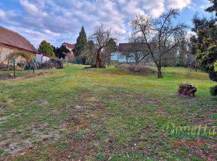 Pronájem pozemku, zahrada, 1 000 m²