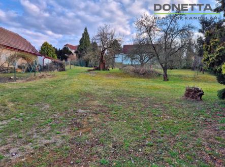 Pronájem pozemku, zahrada, 1 000 m²