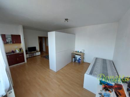 Pronájem bytu, 1+kk, 43 m²