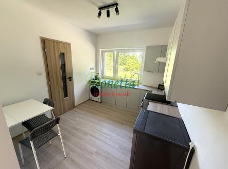Pronájem bytu, 1+1, 30 m²