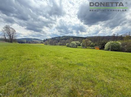 Prodej pozemku, trvalý travní porost, 17 174 m²
