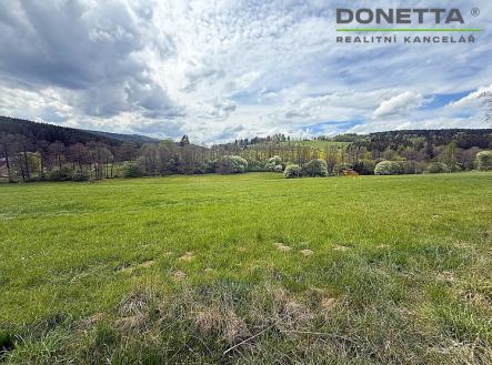 Prodej pozemku, trvalý travní porost, 17 174 m²