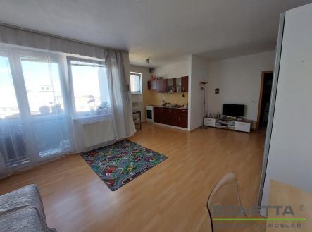 Pronájem bytu, 1+kk, 43 m²