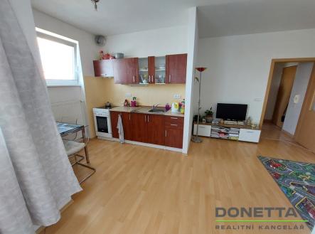 Pronájem bytu, 1+kk, 43 m²
