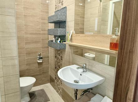 Pronájem bytu, 1+1, 42 m²