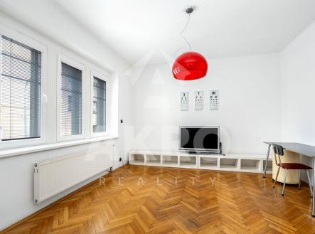 Pronájem bytu, 1+1, 45 m² obrázek