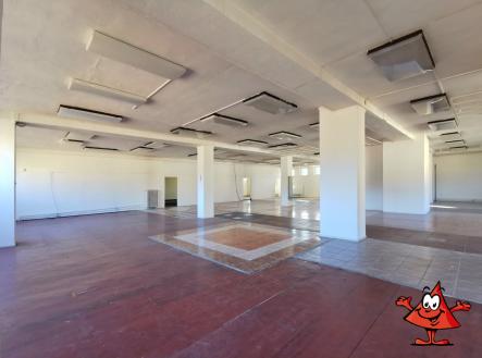 Pronájem - obchodní prostor, 621 m²