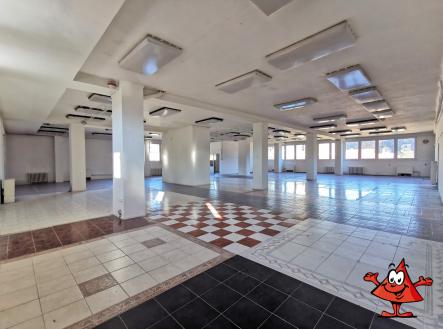 Pronájem - obchodní prostor, 621 m²