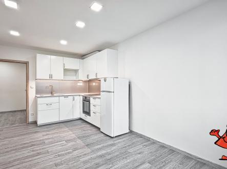 Pronájem bytu, 2+kk, 50 m²