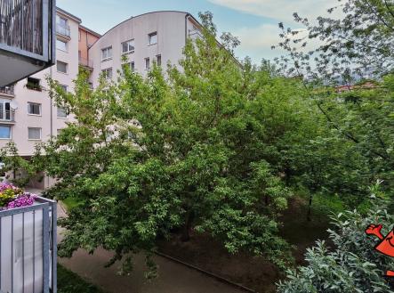 Pronájem bytu, 1+kk, 30 m²