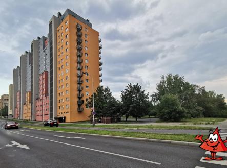 Pronájem obrázek