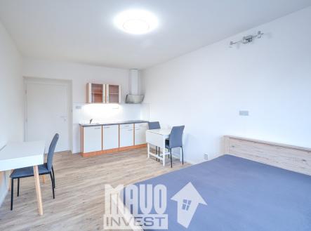 Pronájem bytu, 1+kk, 34 m²