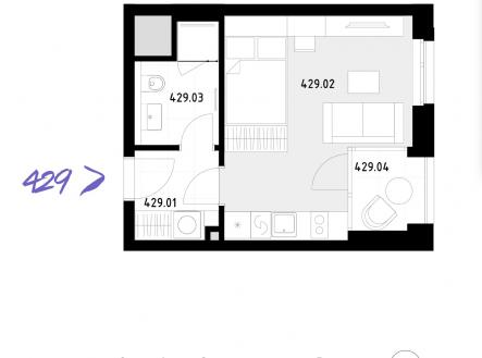 Prodej bytu, 1+kk, 29 m²