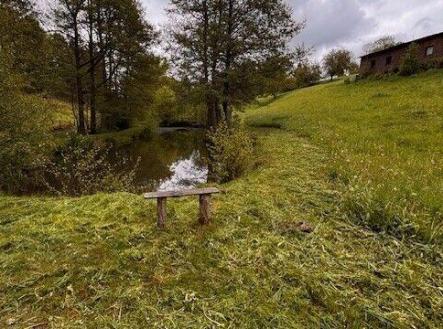 Prodej pozemku, trvalý travní porost, 8 891 m²