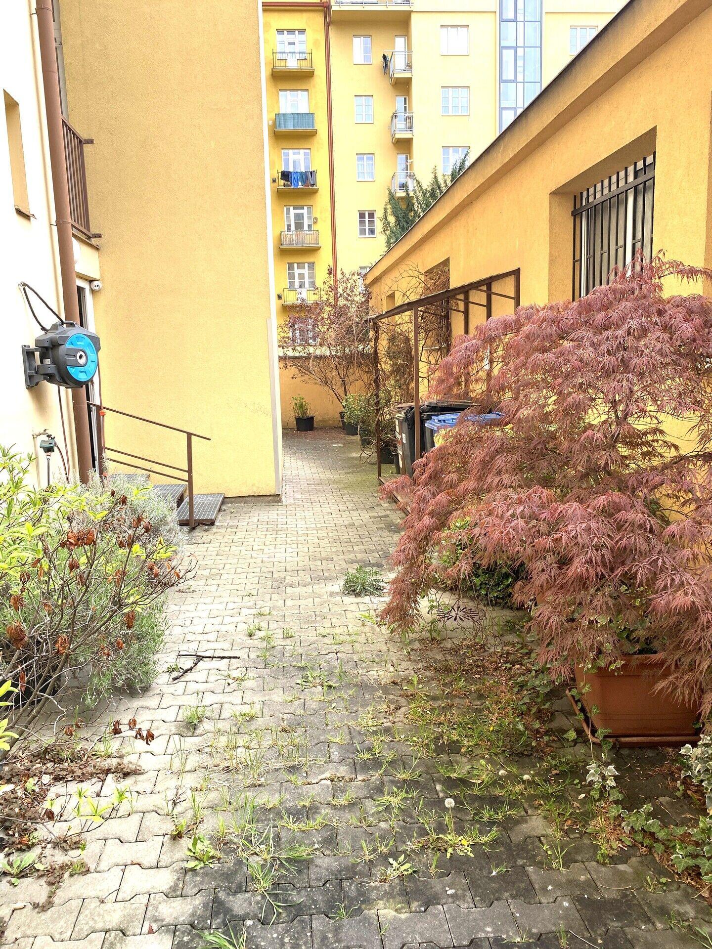 Prodej bytu 2+kk, 55 m2, Buchovcova, Praha 3, Žižkov